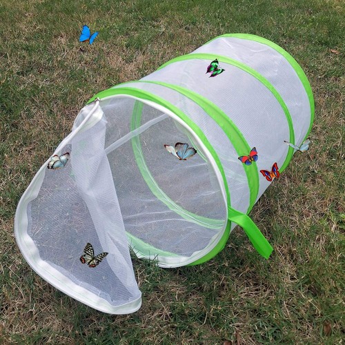 Trasfit Terrarium Pop-up pour insectes et papillons 30,5 x 35,6 cm - Foto 2 di 7