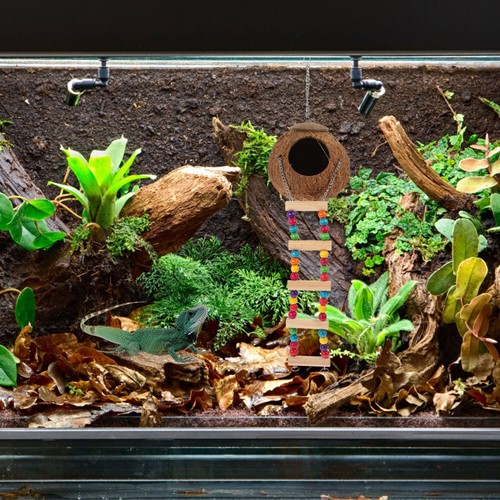 Coconut Reptile House Rope Ladder Climbing Hanging Bed Hideout Decorative - Picture 12 of 12