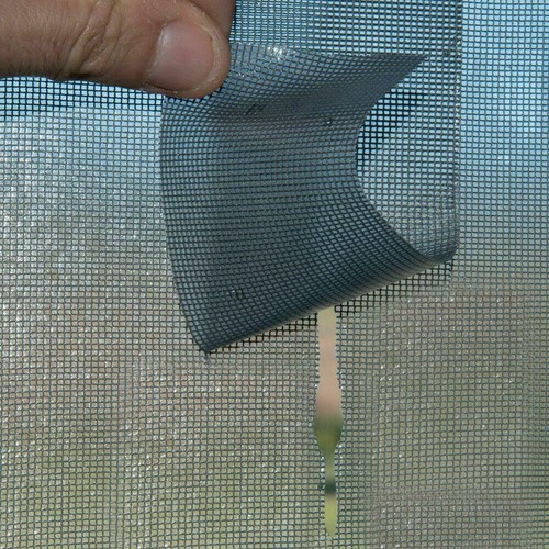 Nastro ADESIVO Ripara Zanzariere Zanzariera FIBRA VETRO Grigio 5x200 cm INSETTI - Foto 7 di 8