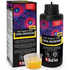 Red Sea Reef Energy AB+ –