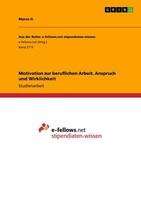 Motivation Zur Beruflichen Arbeit. Anspruch Und Wirklichkeit | Buch | 9783668667