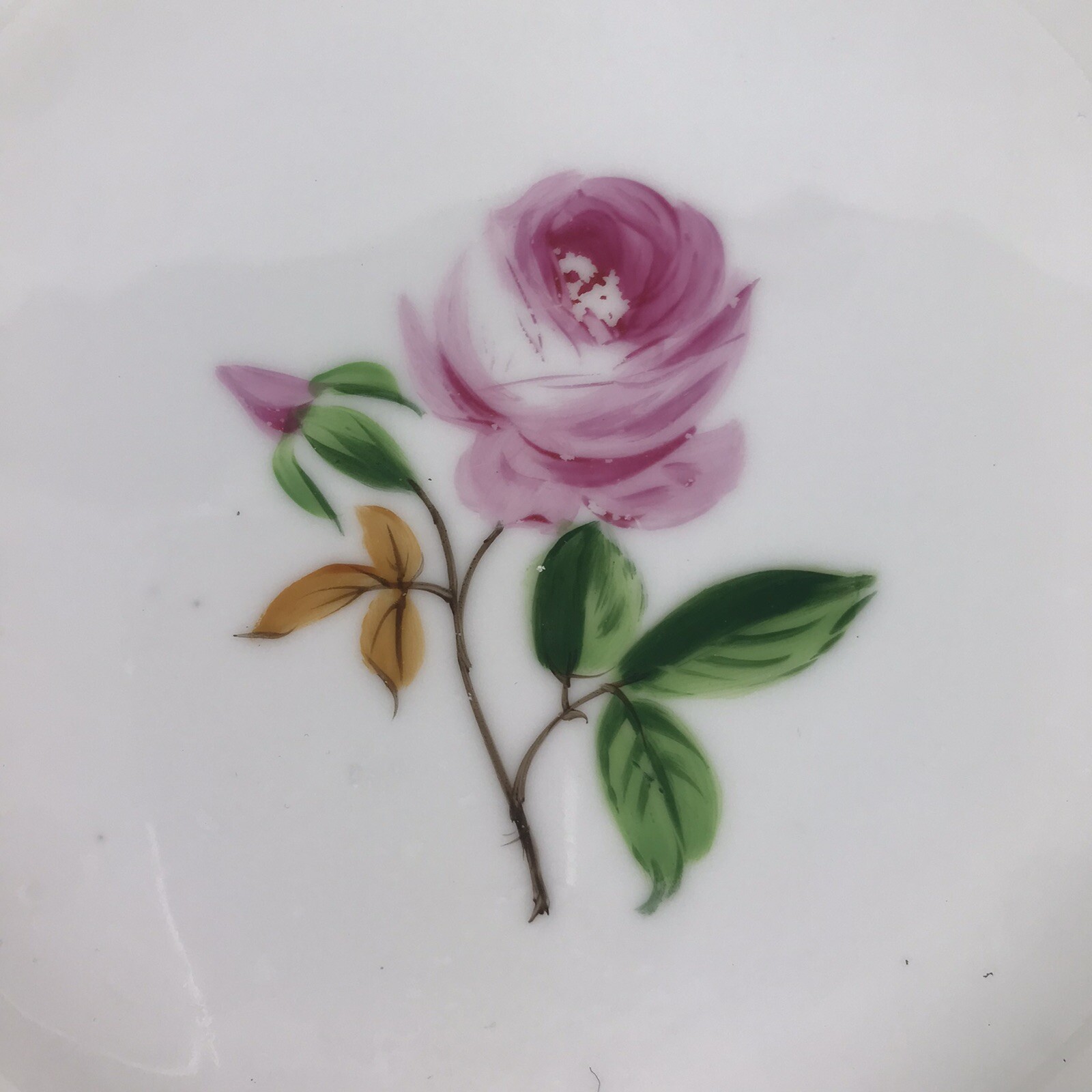 Foto 7 di 12