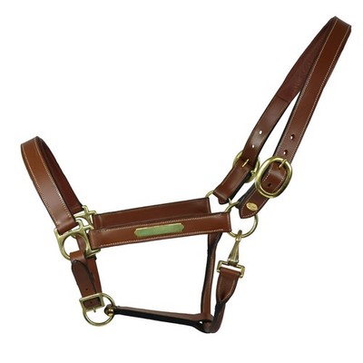 Equest Lederhalfter Inscribe für Pferde, unterlegt - cognac, L - Full/Warmblut