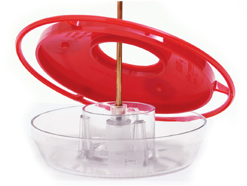 Aspects 433 HummBlossom 4 oz Hanging Rose Hummingbird Feeder - Picture 3 of 3