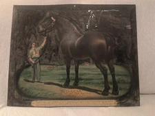 Dr. LeGear Largest Horse Veterinarian Stock Remedies Advertising Medicinal Sign