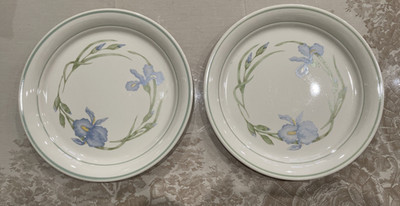 Corelle Cornerstone Iris Dinner Plates 2 Pc Vintage CorningWare 10.25  EUC