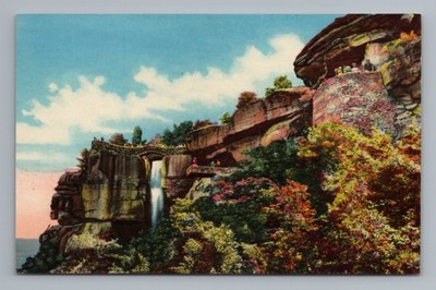 Lookout Mountain Rock City Gardens Lovers Leap High Falls Vintage Postcard