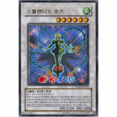 Yugioh Card 