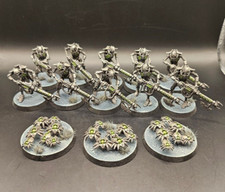 Necron Warriors /W Gauss Flayer Painted Ready for Battle