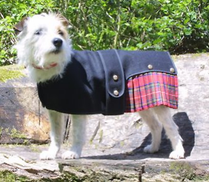 kilts for dogs