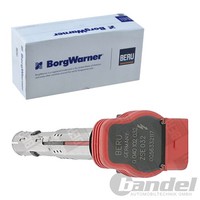 BorgWarner (Beru) ZÜNdspule ZÜNdmodul Passend FüR Audi A4 A5 A6 A7 A8 Q5 Q7 R8