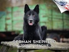 German Shepherd Dog Breed Calendar 2026 12x18 Made in USA