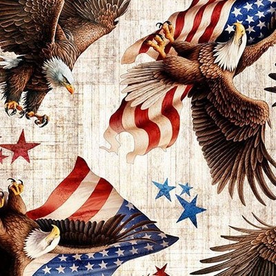 1776 By Quilting Treasures - Birch American Eagle & Flag Toss  #31661-E
