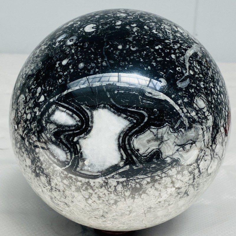 Natural Insectconch fossil crystal Ball Quartz Crystal Sphere Reiki Healing4740G