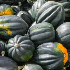 Table King Acorn Squash: 12 Seeds