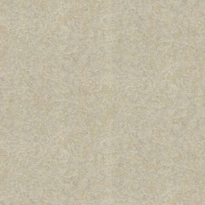 19061 - Roberto Cavalli 8 Tapete Beige Gold S...