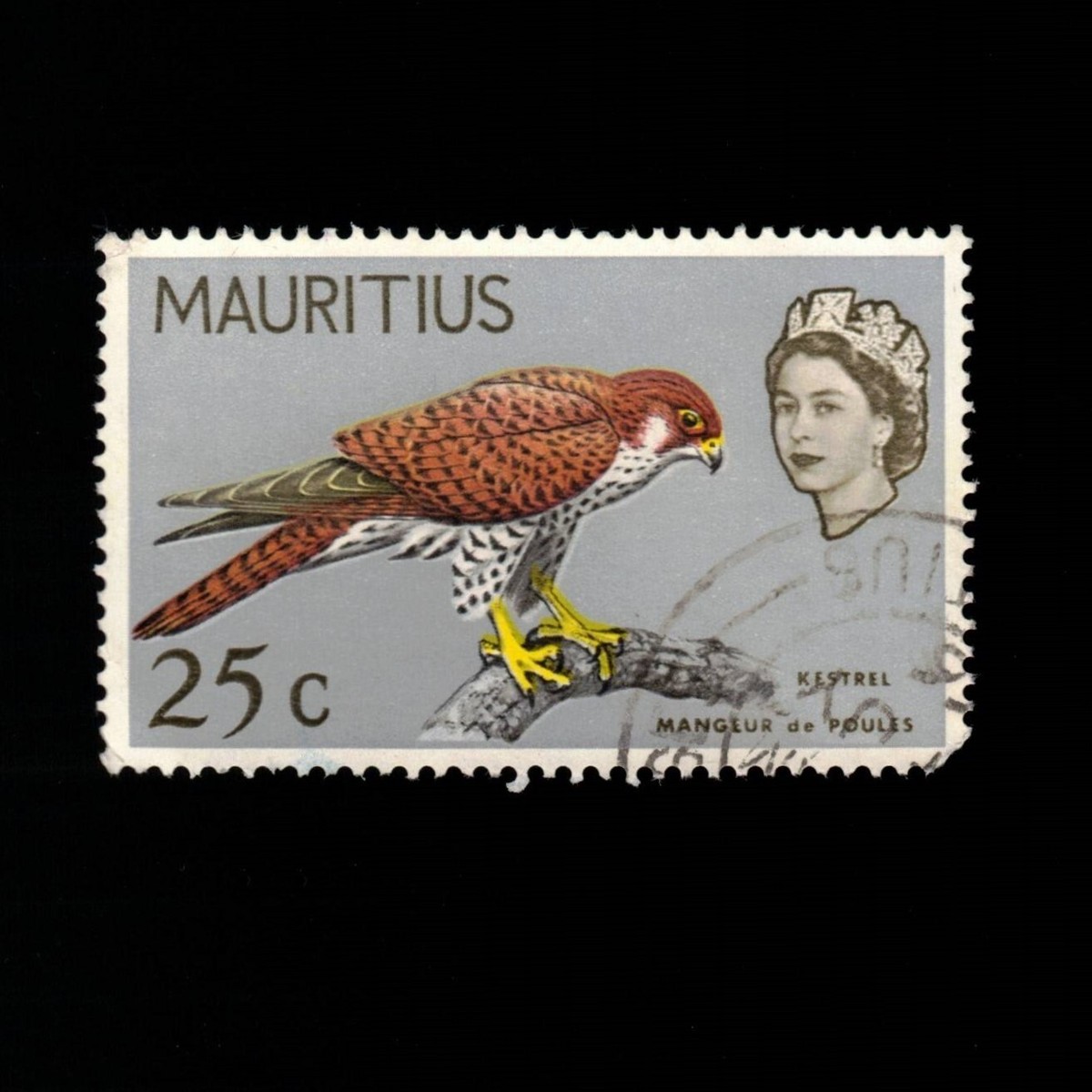 人文 marquiscount s-l1200.jpg