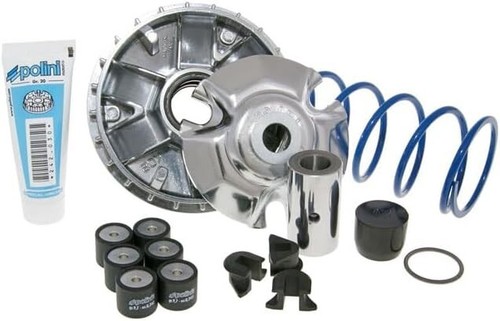 KIT POLINI VARIATORE + CINGHIA + CAMPANA + FRIZIONE KYMCO AGILITY 125 150 - Imagen 2 de 6