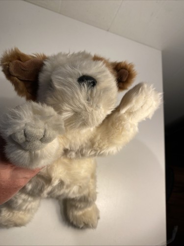 Peluche Ty Patches Dog 1998 12" - Imagen 11 de 12