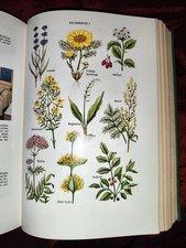 Altes Kräuterbuch "Das große Buch der Naturheilkunde" aus 1973, Heilkuren Fasten