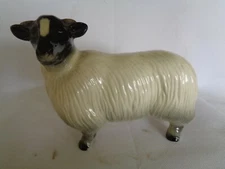 Large Coopercraft Blackfaced Young Ram ornament figurine -19cm Length-15cm High