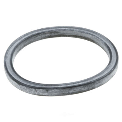 Evaporative Emissions System Leak Detection Pump Seal WVE 4B2010