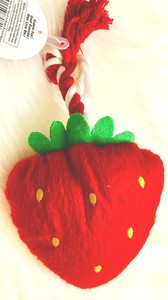 strawberry dog toy