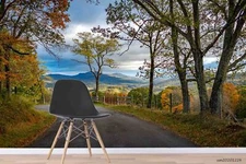 3D Mountain Forest Road Self-adhesive Removeable Wallpaper Wall Mural