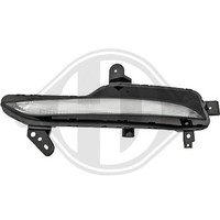 1X Blinkleuchte Diederichs 4467073 FüR Renault Vorne Links