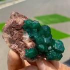 Foto 7 di 24