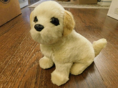 Gelb blonder Laborwelpe Plüsch beschichteter Kunststoff Hund 6,5 Zoll sitzen realistisch ENTZÜCKEND