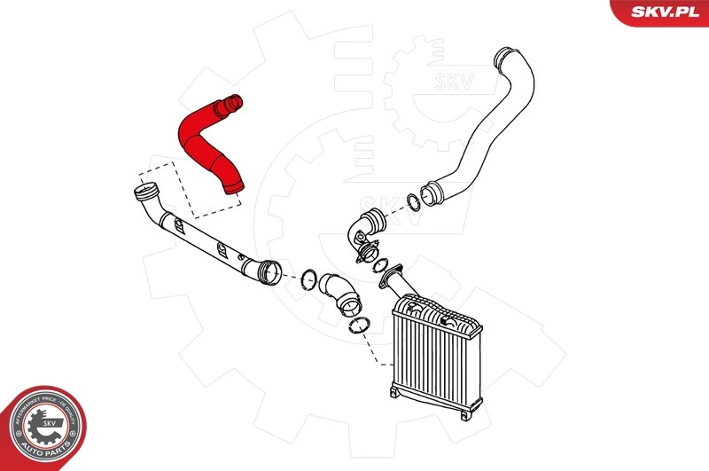 Fits SKV GERMANY 24SKV194 INTERCOOLER HOSE