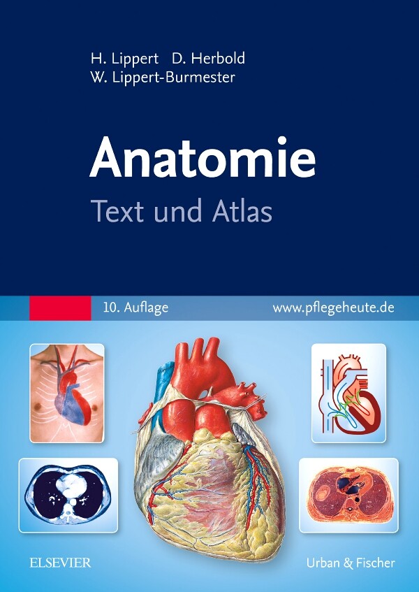 Thumbnail - Herbert Lippert; Desiree Herbold; Wunna Lippert-burmester / Anatomie