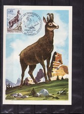 carte  1er jour  nature faune    isard  65  Tarbes      1971