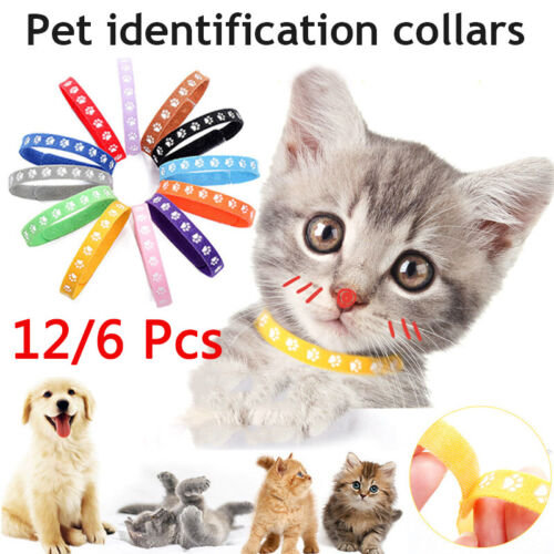 New born Whelping Id Bands Pet PUPPY Kitten identification Adjustable Collars ◁ - Afbeelding 1 van 14