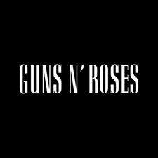 Guns n' Roses Logo Vinyl Decal