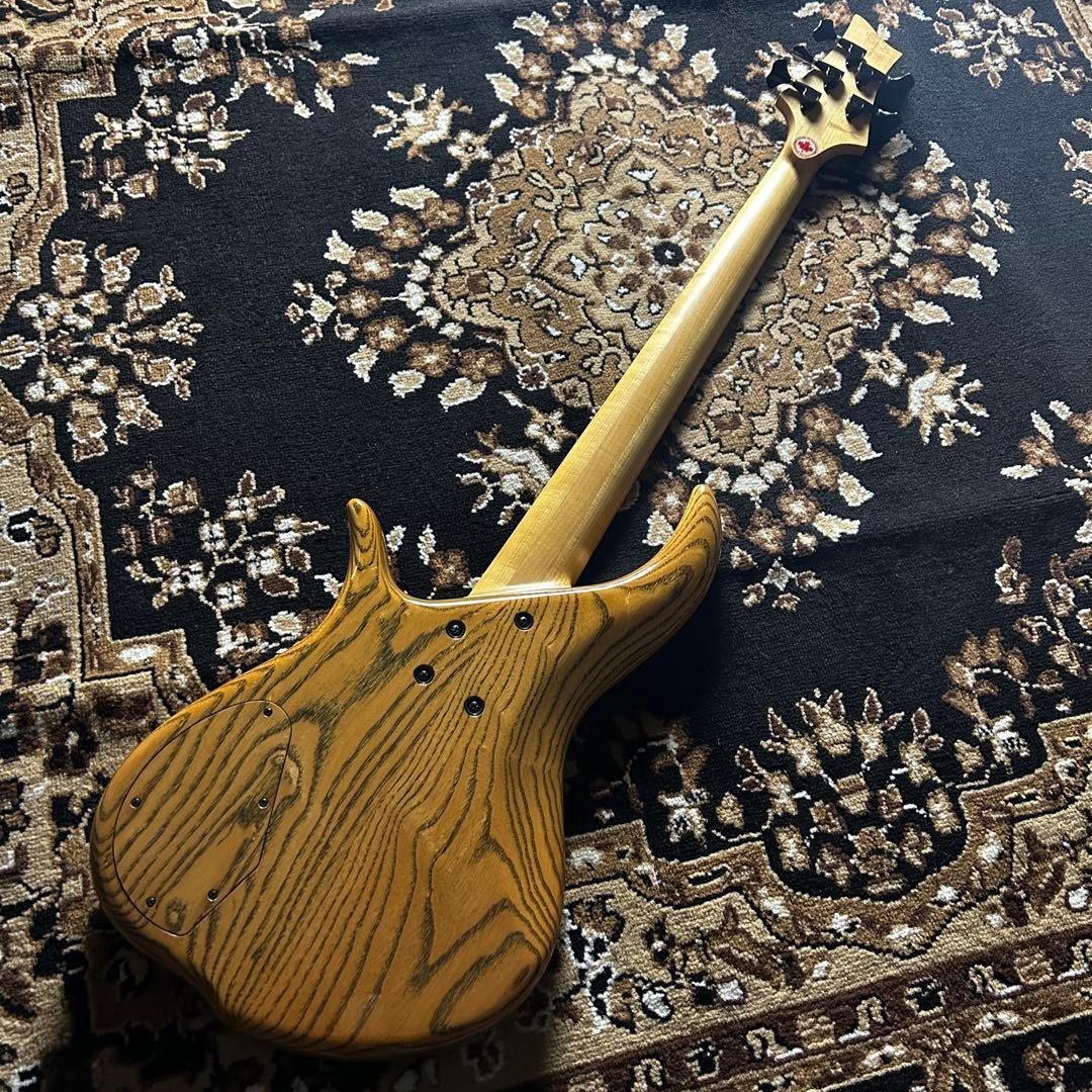 F Bass Bn-5 Buckeye Burl Safe delivery from Japan | eBay