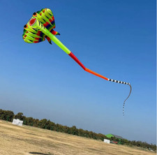 12.5M 3D soft ray kite inflatable large, easy to fly, tear resistant outdoor