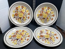 Set of 4 Homer Laughlin New Paradise  10 1/4" Dinner Plates