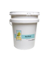 BULK FOOD GRAIN-Hard Red Winter Wheat Berries-5-Gallons-Long Term Storage-36 