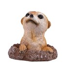 Meerkat Statue - Charming Meerkat Garden Animal Statue: Lifelike Decor Accent