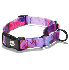 NWT wolfgang man DayDream MARTINGALE DOG COLLAR
