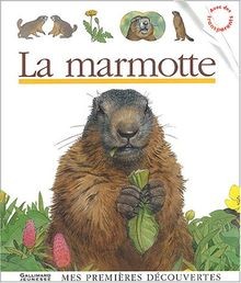 La Marmotte von Peyrols, Sylvaine | Buch | Zustand gut