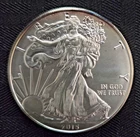 2015 1 OZ American Silver Eagle .999 Silver (Brilliant Uncirculated)