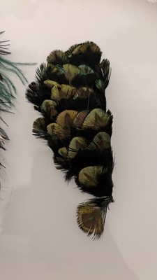 Authentic Jennifer Ouellette Peacock Feather Hair Clip Barrette Fascinat