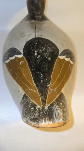  LARGE 1930s Evans Drake Canvasback Decoy with Beautiful Painted Wings