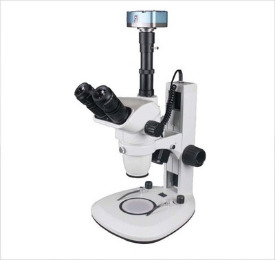 Professional Zoom Stereo Microscope 7 180× with Top/Bottom LED & 25 MP Camera