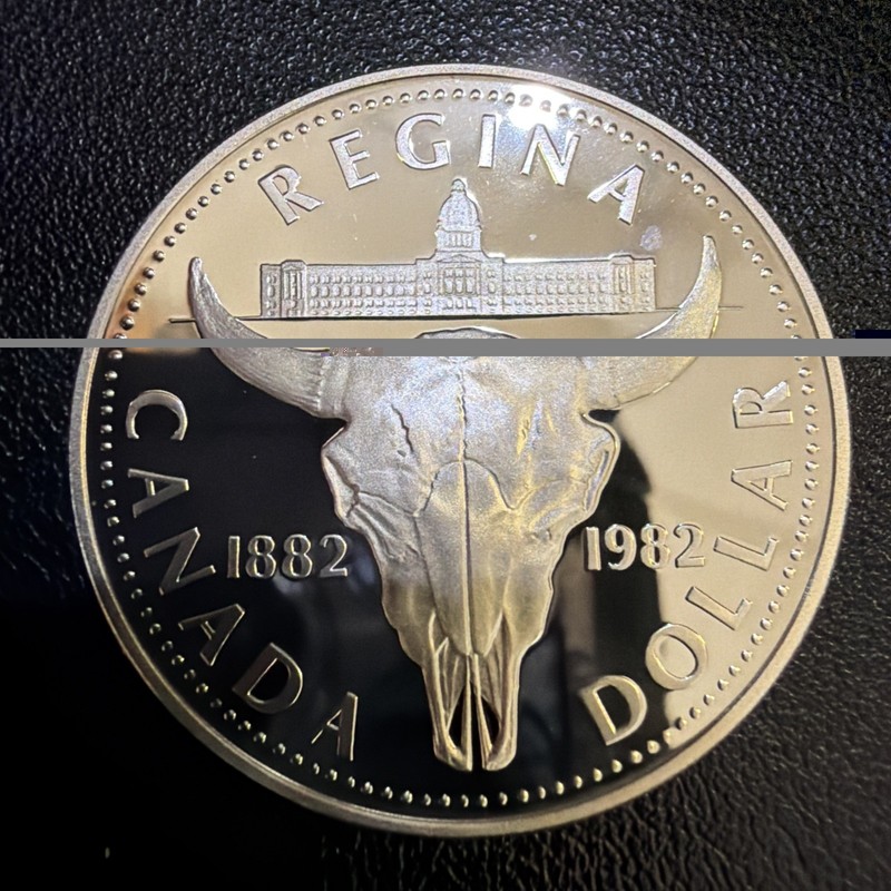 Proof 1982 Satin Canada Elizabeth II (Cattle Skull) 36mm Silver Dollar BR240