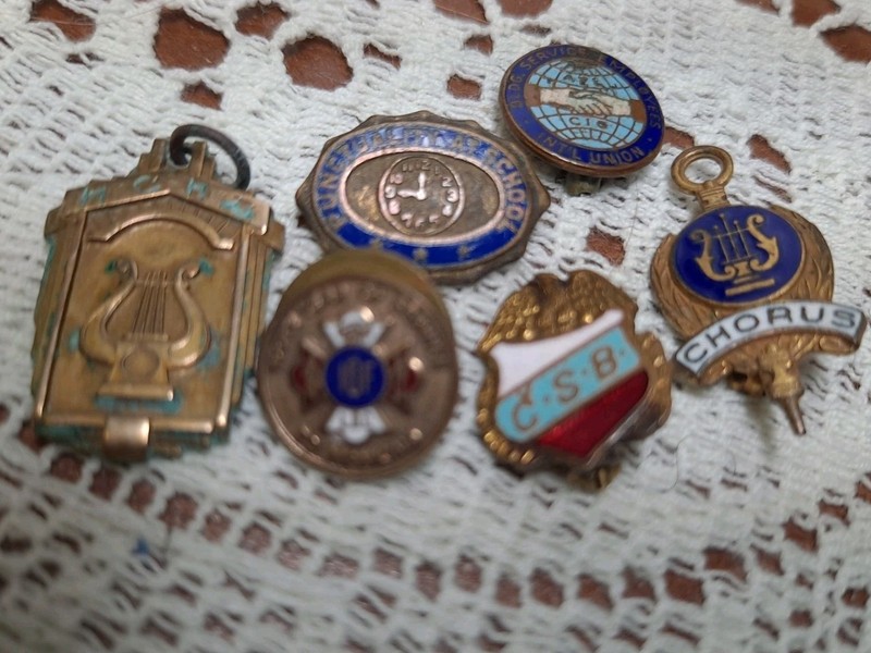 Lot Of  Antique Enamel Award Pin Organization Pin PENDANT CSB CHORUS IOF SCHOOL