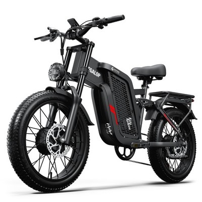 Tifgalop E Bike 52V 24AH Mountainbike 20 Zoll Doppelmotor ,45-90 km Reichweite